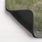 J.T. Chessman Provincial Park, duingras Muismat (Hoek)