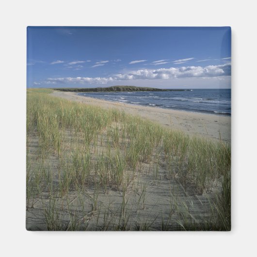 J.T. Chessman Provincial Park, Dune gras Magneet (Voorkant)