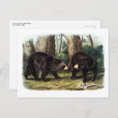 J.W. Audubon - Ursus Americanus Zwart Beer Briefkaart (Voorkant / Achterkant)
