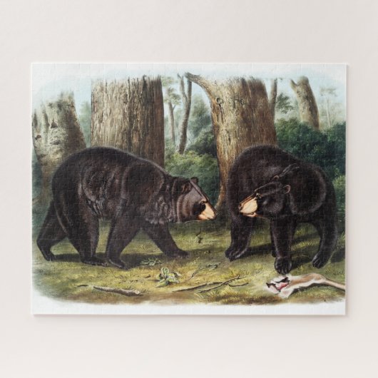 J.W. Audubon - Ursus Americanus Zwart Beer Legpuzzel (Horizontaal)