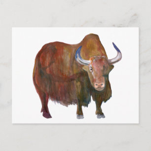 J. Yak/carte postale Briefkaart