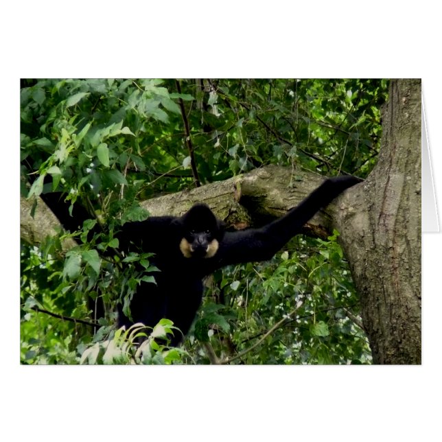 Ja! (Voorkant Horizontaal)