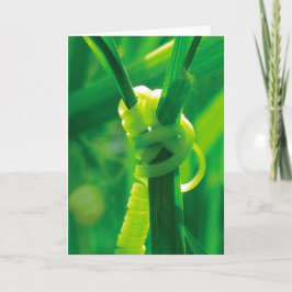 Ja, dat kan je! Rosie de Klinknagelaar Ranke Klimp Kaart