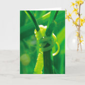 Ja, dat kan je! Rosie the Riveter Tendril Klimplan Kaart (Gele Bloem)