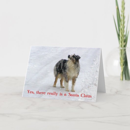 Ja, er is echt een Sinterklaas Wenskaart Feestdagen Kaart (Voorkant)