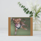 Ja, ik ben een Chihuahua Briefkaart (Staand voorkant)