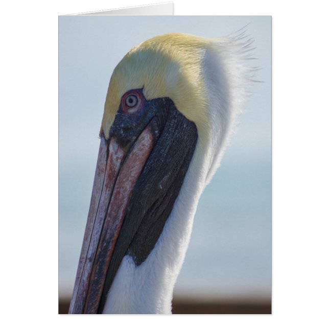 Ja, ik ben geweldig (Voorkant)