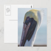 Ja, ik ben geweldig briefkaart (Voorkant / Achterkant)