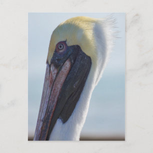 Ja, ik ben geweldig briefkaart