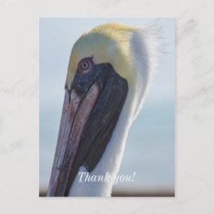 Ja, ik ben prachtig briefkaart