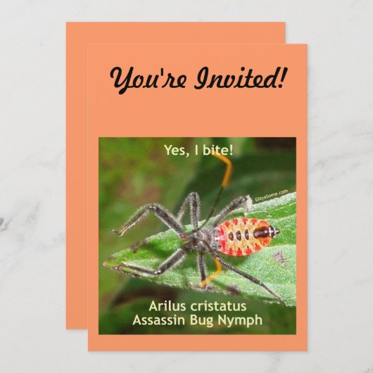 Ja, ik haal Assassin Bug Kaart (Voorkant / Achterkant)