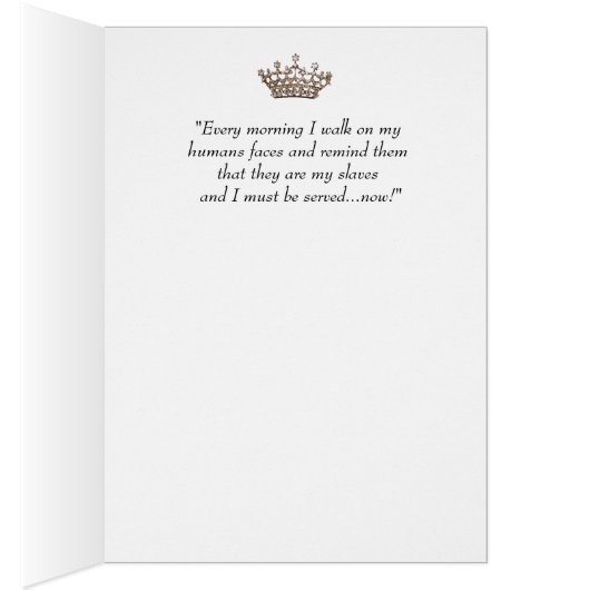 "Ja, ik regel!" Diva van een Kat (Binnen (Rechts))