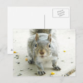 "Ja, ik zou graag wat eten" Briefkaart (Voorkant / Achterkant)