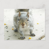 "Ja, ik zou graag wat eten" Briefkaart (Voorkant)