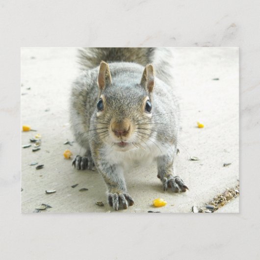 "Ja, ik zou graag wat eten" Briefkaart (Voorkant)