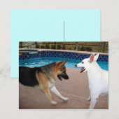 Ja Majesteit ~ Briefkaart (Voorkant / Achterkant)