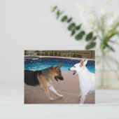 Ja Majesteit ~ Briefkaart (Staand voorkant)