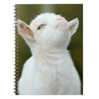 Ja Notitieboek
