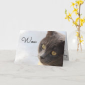 Ja Ouder Happy Birthday Kaart (Gele Bloem)