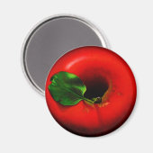 Ja. Rode appel Magneet (Voorkant / Achterkant)