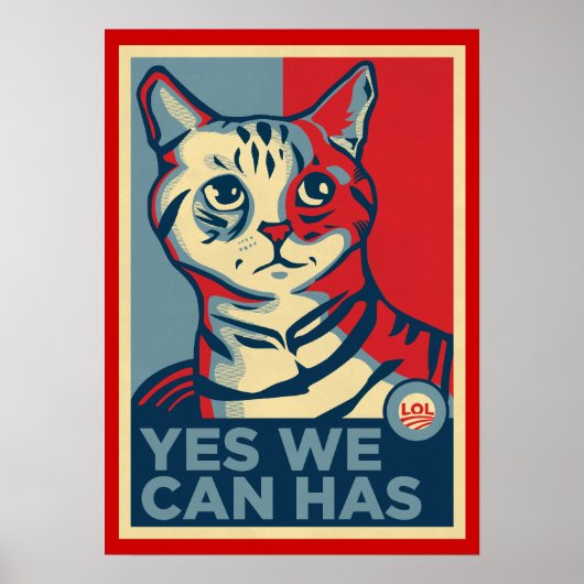 Ja, we kunnen LOLCAT afdrukken Poster (Voorkant)