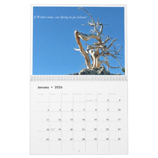 Jaar 2017 in afbeeldingen en vers kalender (Jan 2026)