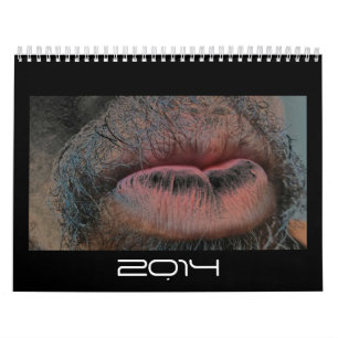 Jaar in jaar uit kalender