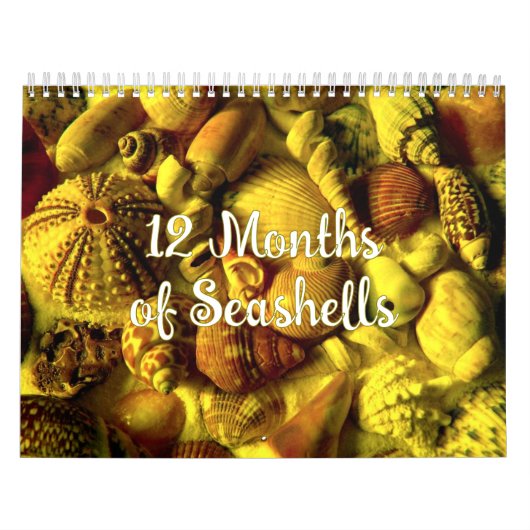 Jaar Lange Zeeschelp Fotografie Kalender (Hoes)