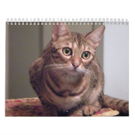 Jaar van de bengachtige kat kalender
