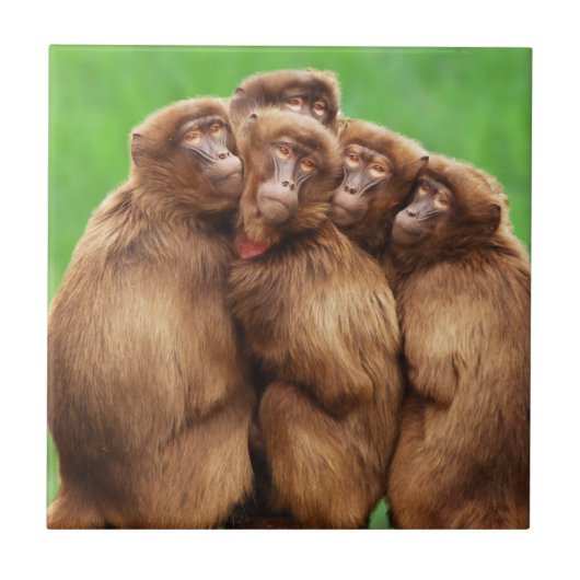 Jaar van de brandaap tegeltje (Voorkant)