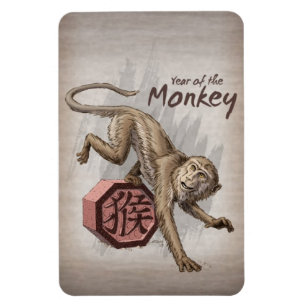 Jaar van de Chinese Zodiac Kunst in Monkey Magneet