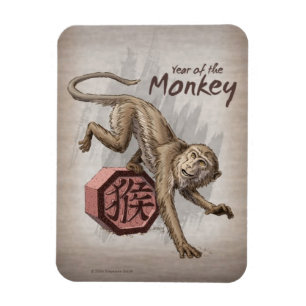Jaar van de Chinese Zodiac Kunst in Monkey Magneet