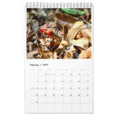 Jaar van de dieren kalender (Feb 2027)