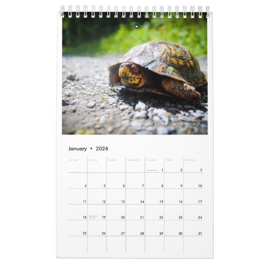 Jaar van de dieren kalender (Jan 2026)