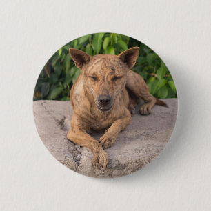 Jaar van de Hond Ronde Button 5,7 Cm