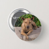 Jaar van de Hond Ronde Button 5,7 Cm (Voorkant /achterkant)