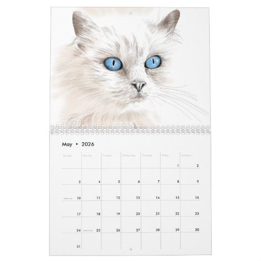 Jaar van de kattenkalender van kattentekeningen kalender (Mei 2026)