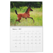 Jaar van de paardenkalender kalender (Feb 2027)