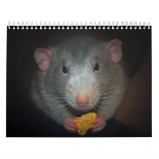 Jaar van de Rat Calander Kalender