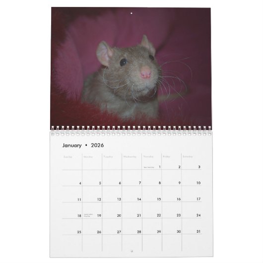 Jaar van de Rat Calander Kalender (Jan 2026)