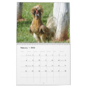 Jaar van de rooster kalender (Feb 2026)