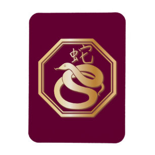 Jaar van de slang magneet