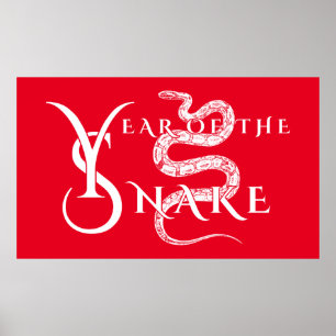 Jaar van de slang poster