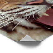 Jaar van de Tiger Poster Print (Hoek)