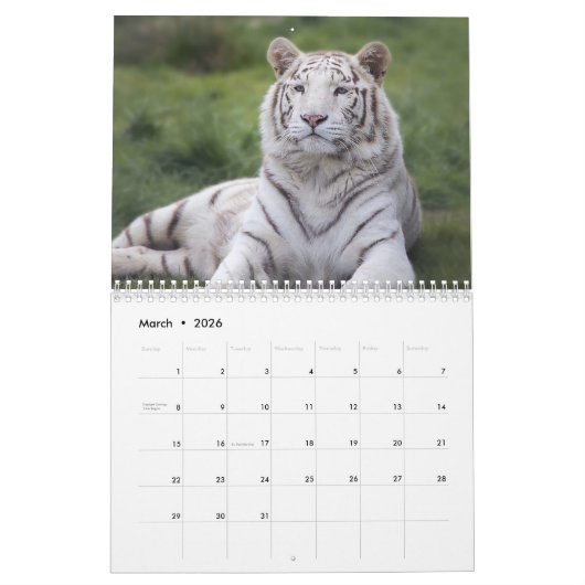 Jaar van de Tijger Kalender (Mar 2026)