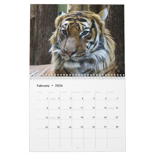 Jaar van de Tijger Kalender (Feb 2026)