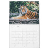 Jaar van de Tijger Kalender (Jan 2027)