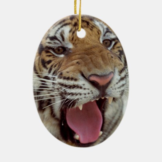 Jaar van de Tijger Keramisch Ornament (Achterkant)