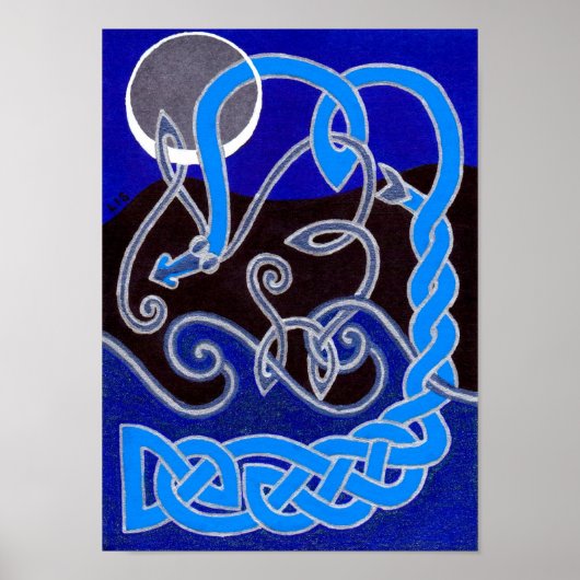 Jaar van de waterslang poster (Voorkant)