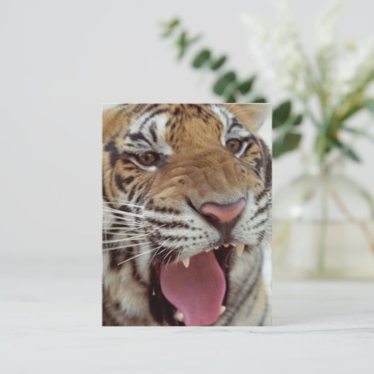 Jaar van het Briefkaart Tiger (Staand voorkant)